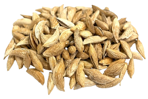 Afghan Almond In Shell