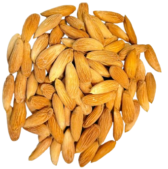 Afghan Almond Kernel