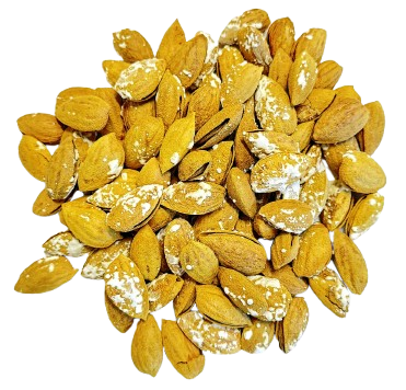 Roasted Salted Almond in Shell