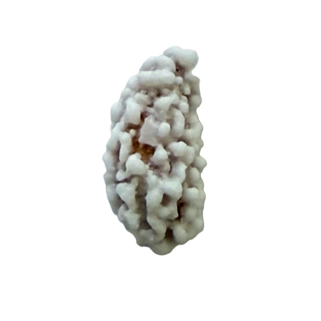 Afghan Almond Candy (Nuqul) - Image 3