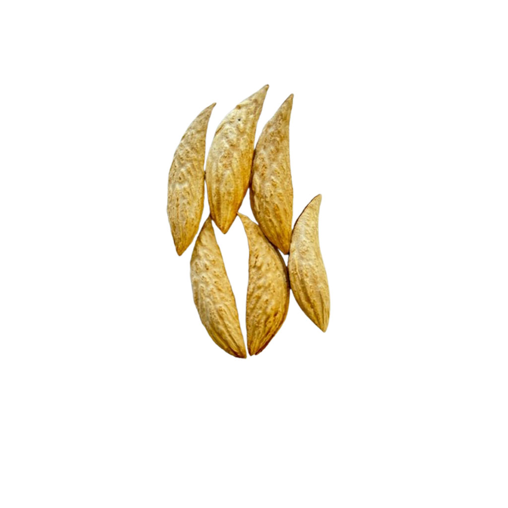 Afghan Almond In Shell - Image 2