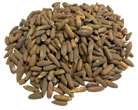 Roasted Pine Nuts