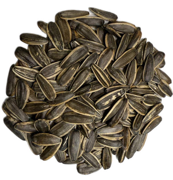 Sunflower Seeds