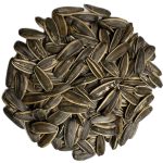 Sunflower Seeds