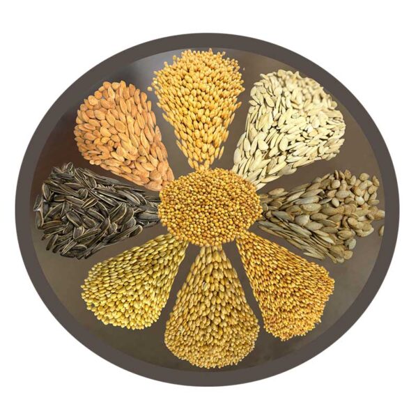 Legumes & Seeds