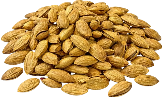In Shell Roasted Almond